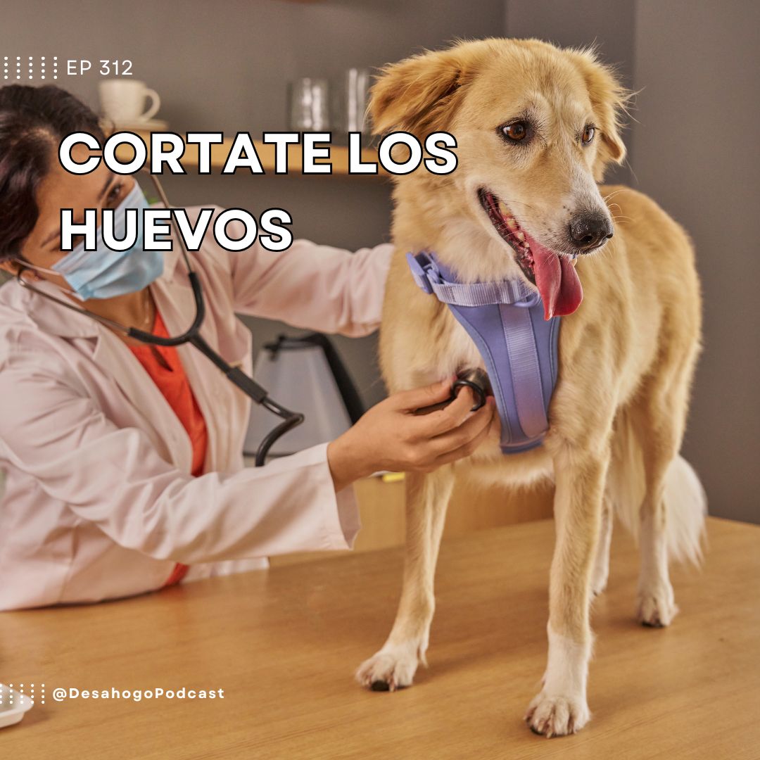 Cortate los huevos Cortate los huevos